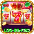 e88 BR Pro